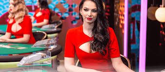 77777w taruhan olahraga sepak bola live betting